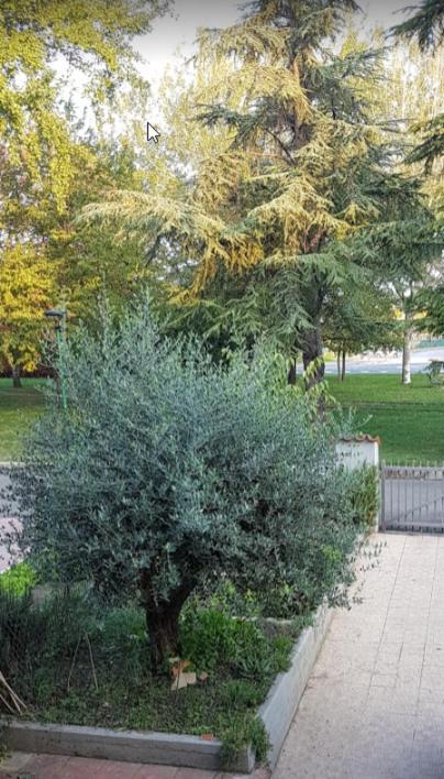 Villa Elsa, Cesena Zona Ippodromo Exterior photo